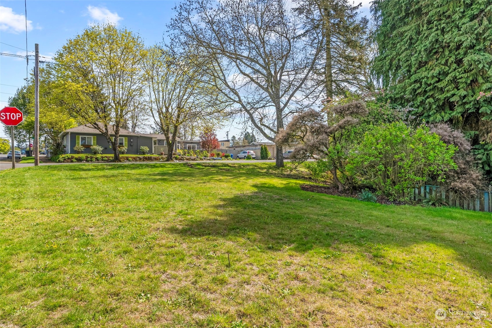502 Burcham Street Kelso, WA 98626 - Photo 28 of 38 a big yard with lots of green space and trees