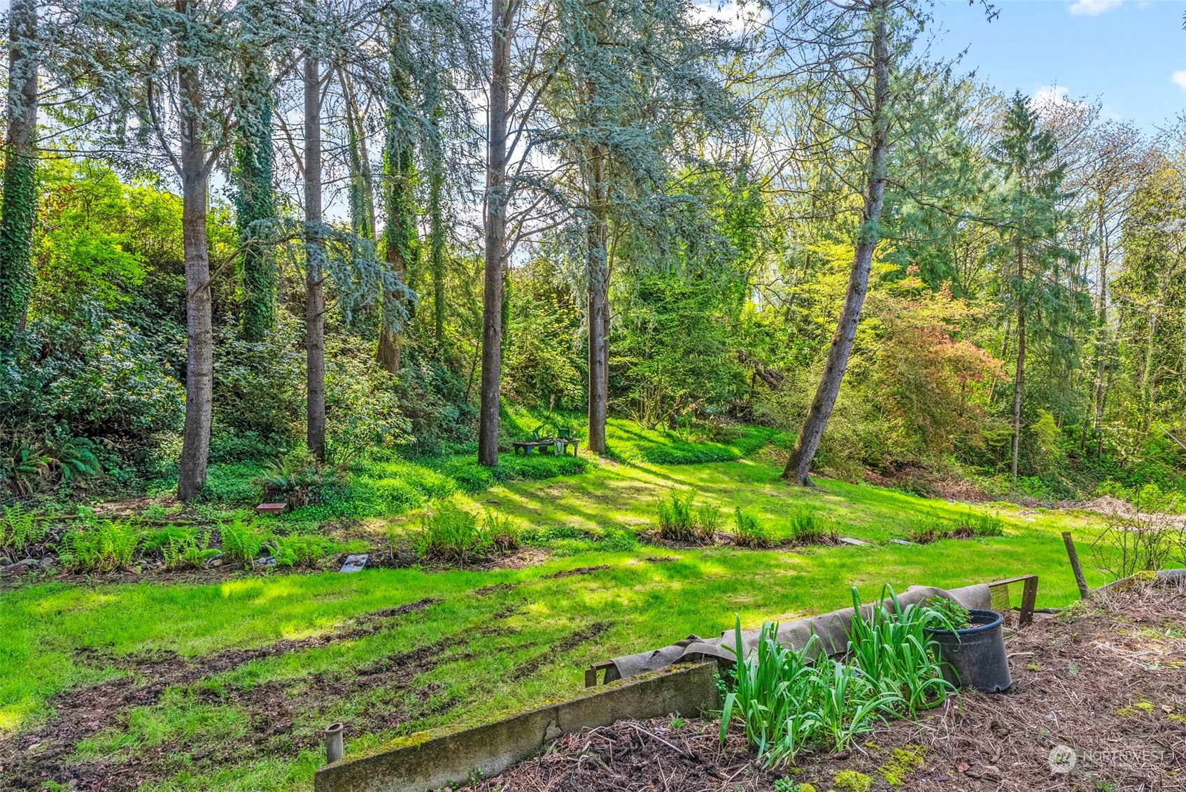 502 Burcham Street Kelso, WA 98626 - Photo 33 of 38 a view of a park with large trees
