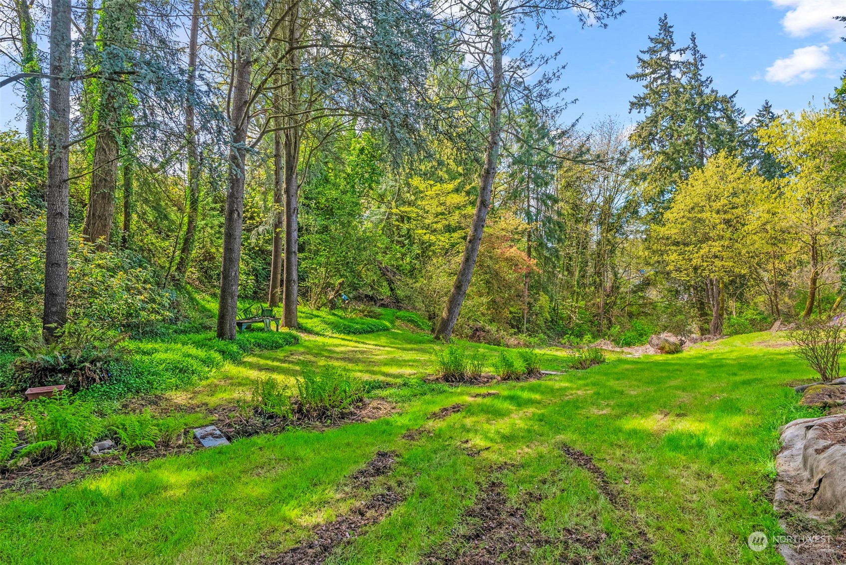 502 Burcham Street Kelso, WA 98626 - Photo 34 of 38 a view of a grassy field with trees in the background