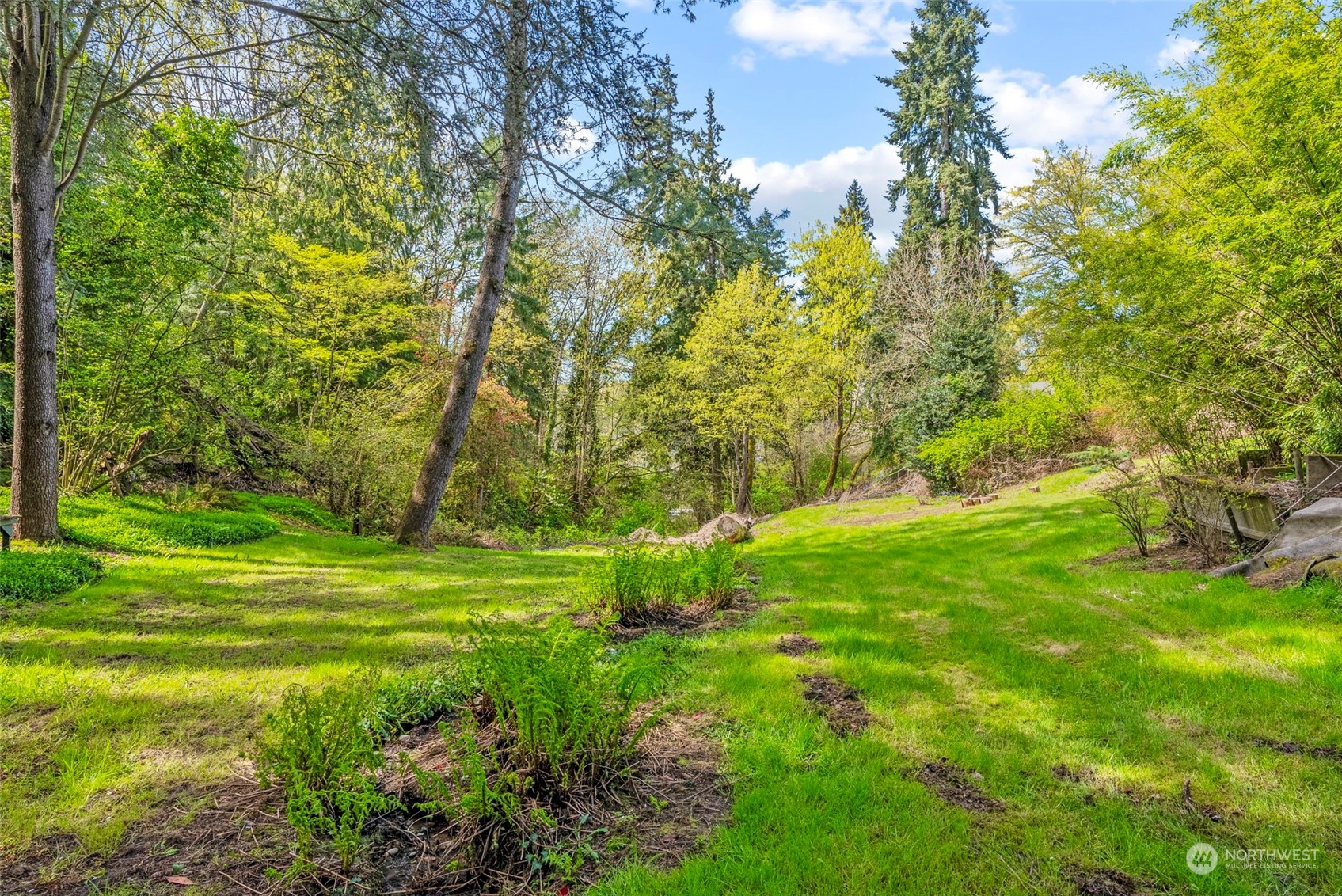 502 Burcham Street Kelso, WA 98626 - Photo 35 of 38 a view of a yard with a tree