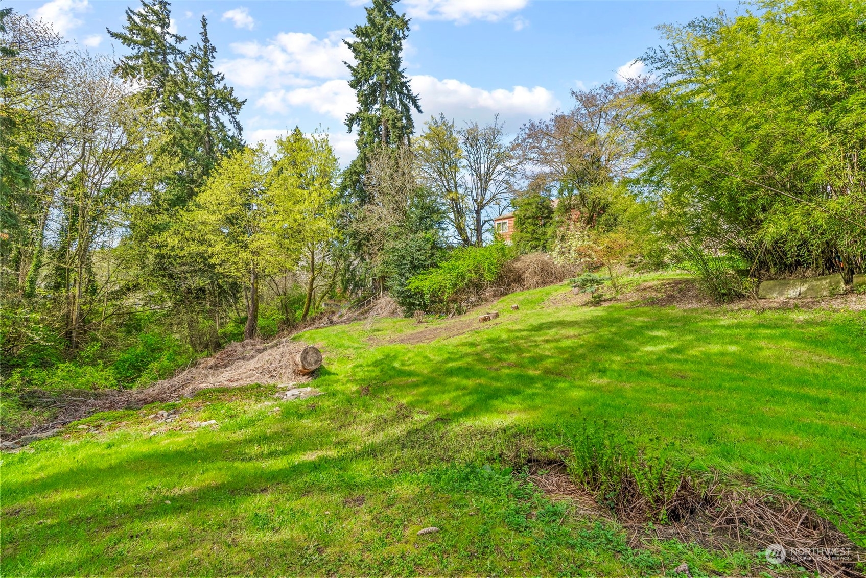 502 Burcham Street Kelso, WA 98626 - Photo 36 of 38 a view of a yard with large trees