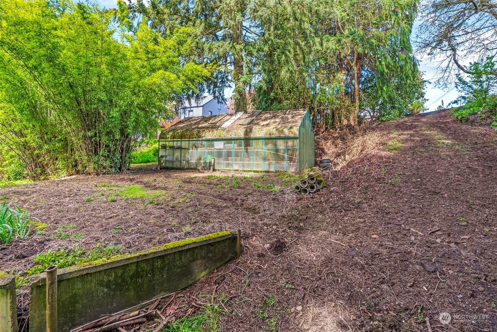 502 Burcham Street Kelso, WA 98626 - Photo 38 of 38 a backyard of a house with lots of green space