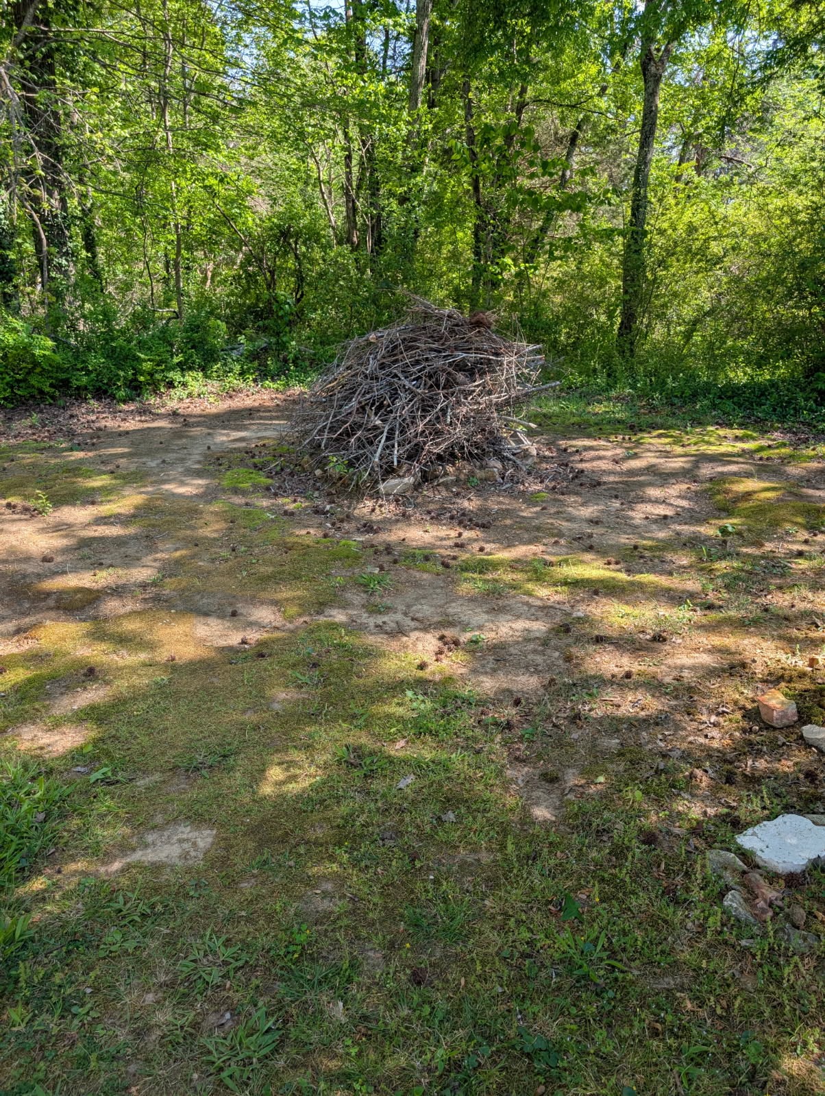 5000 Highway 100 Lyles, TN 37098 - Photo 22 of 23