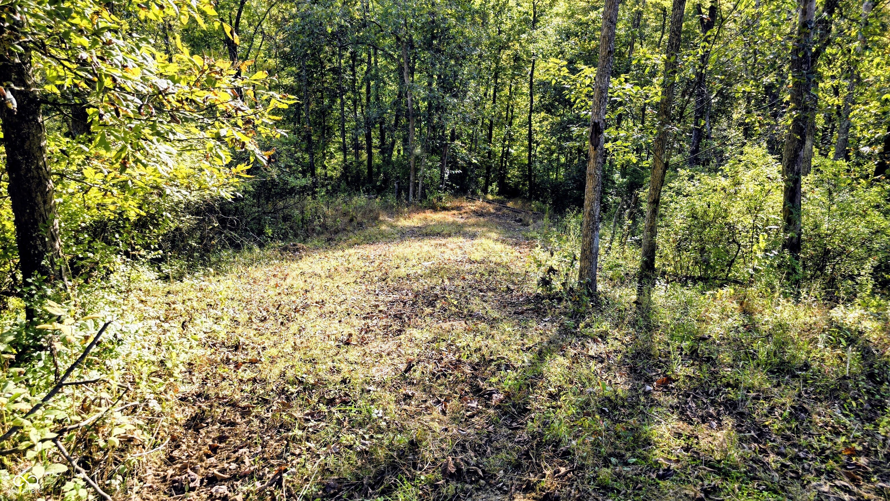 6870 Taylor Road Rising Sun, IN 47040 - Photo 38 of 73