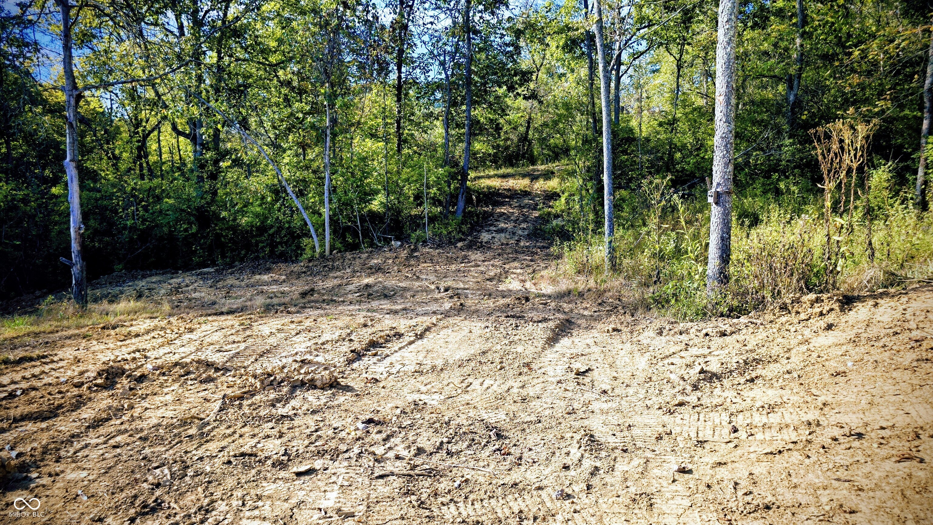 6870 Taylor Road Rising Sun, IN 47040 - Photo 60 of 73