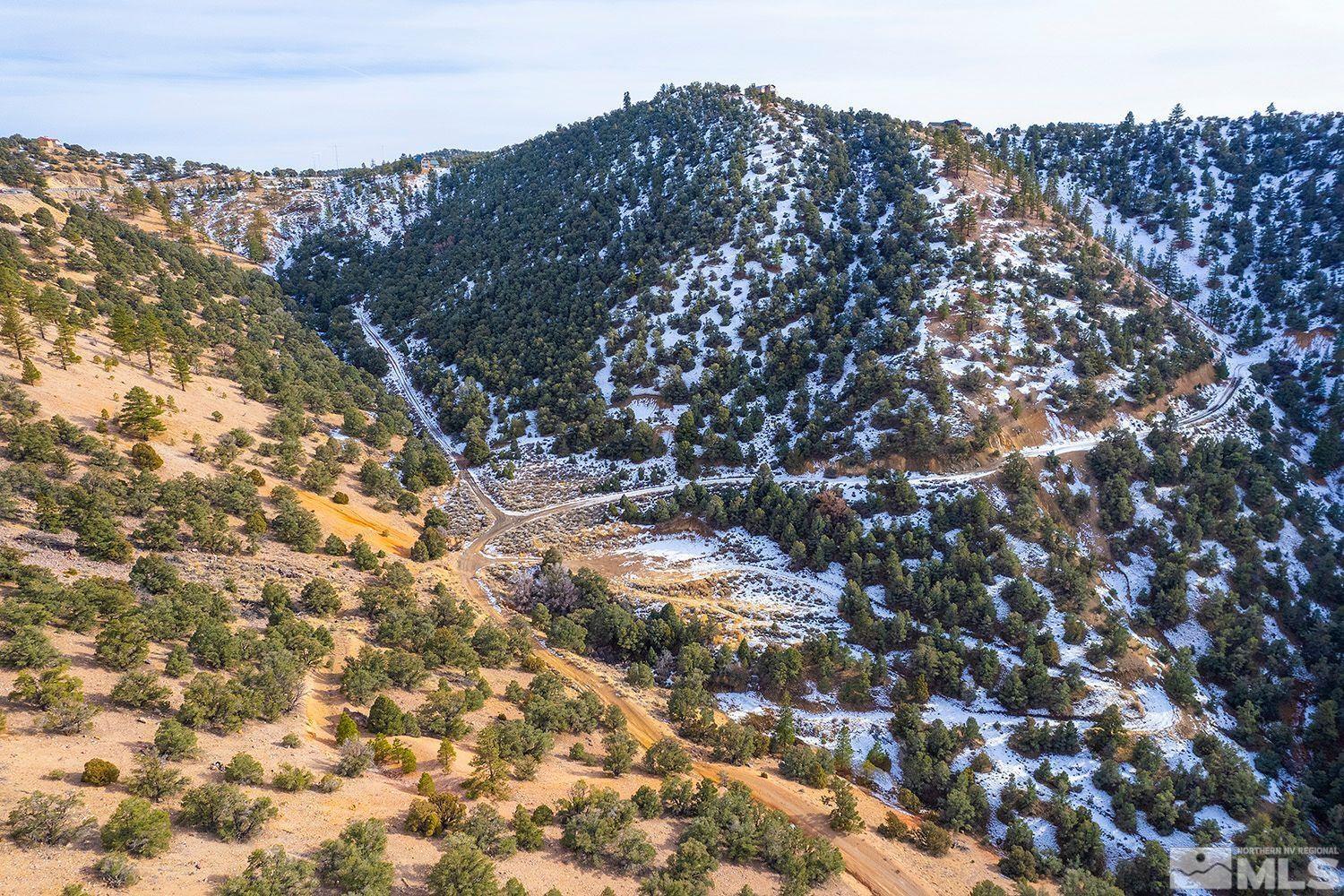 20 Toll Road, Unit 2 Reno, NV 89521 - Photo 8 of 10 a close up of a tree