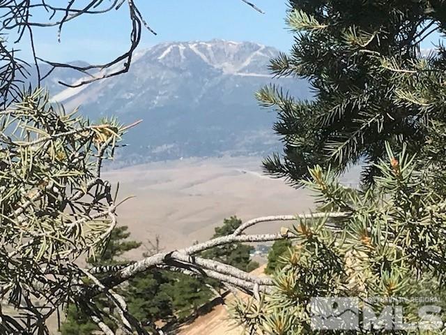 20 Toll Road, Unit 2 Reno, NV 89521 - Photo 10 of 10 a view of a backyard of a house