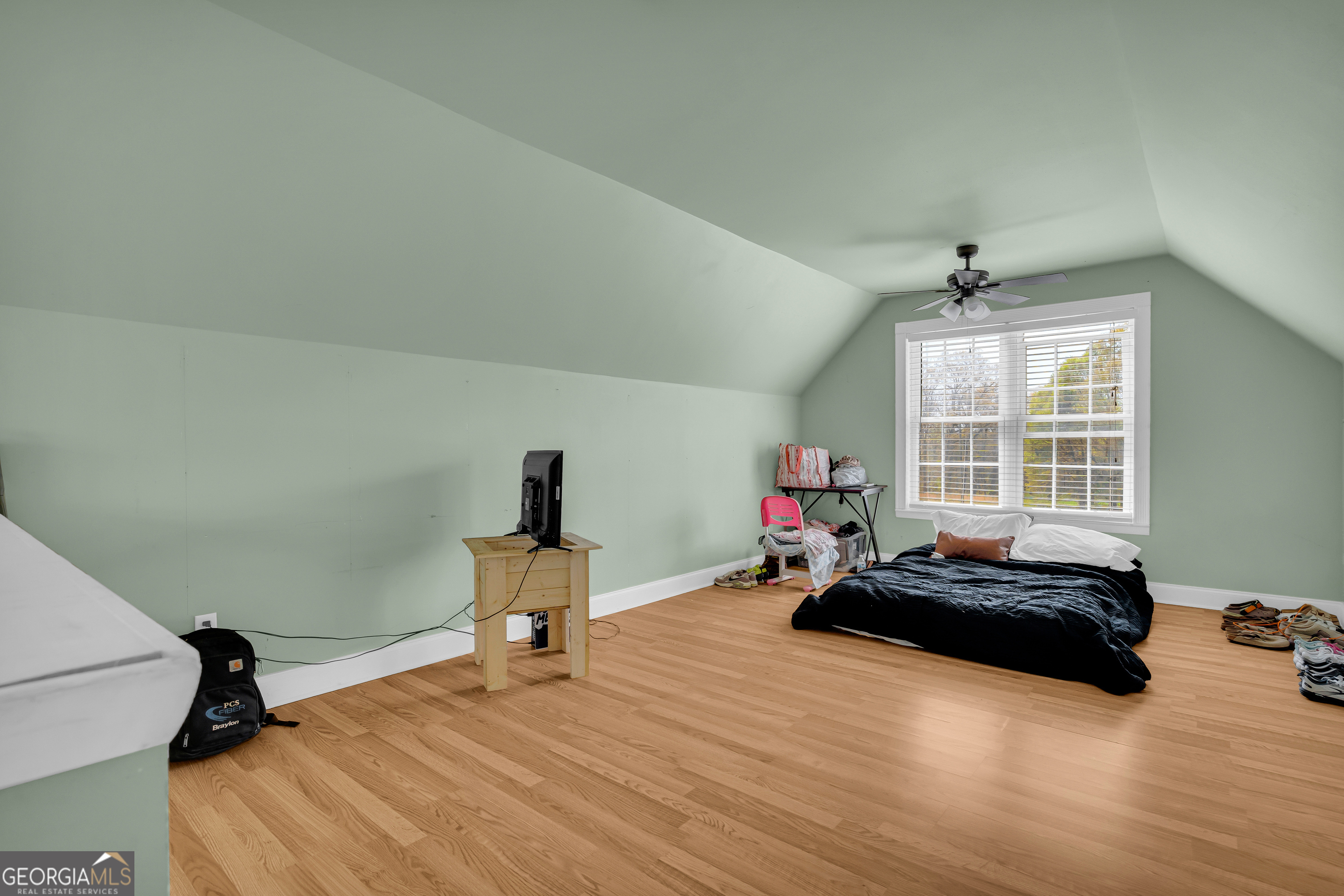 61 Turkey Creek Road Carnesville, GA 30521 - Photo 64 of 86