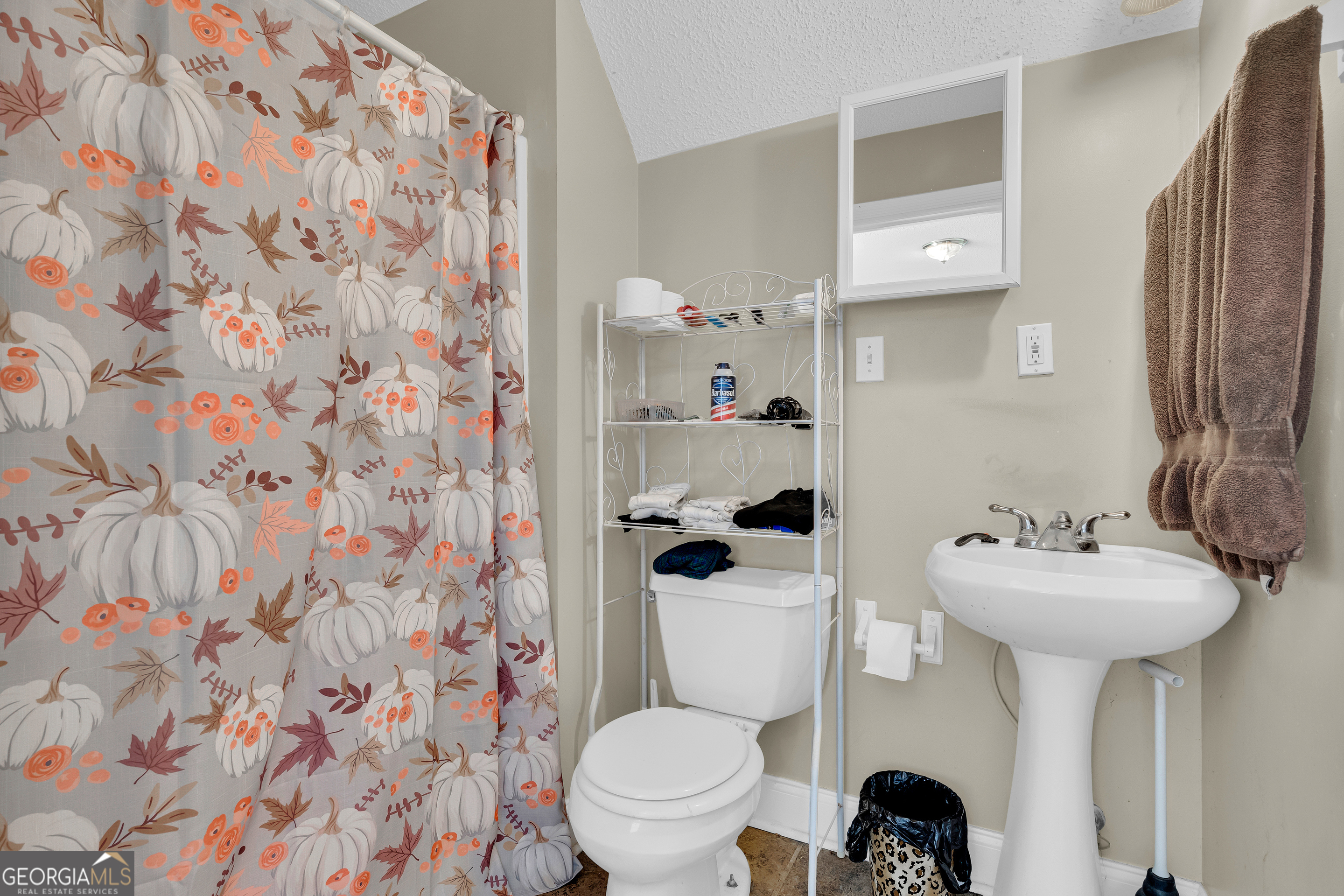 61 Turkey Creek Road Carnesville, GA 30521 - Photo 81 of 86