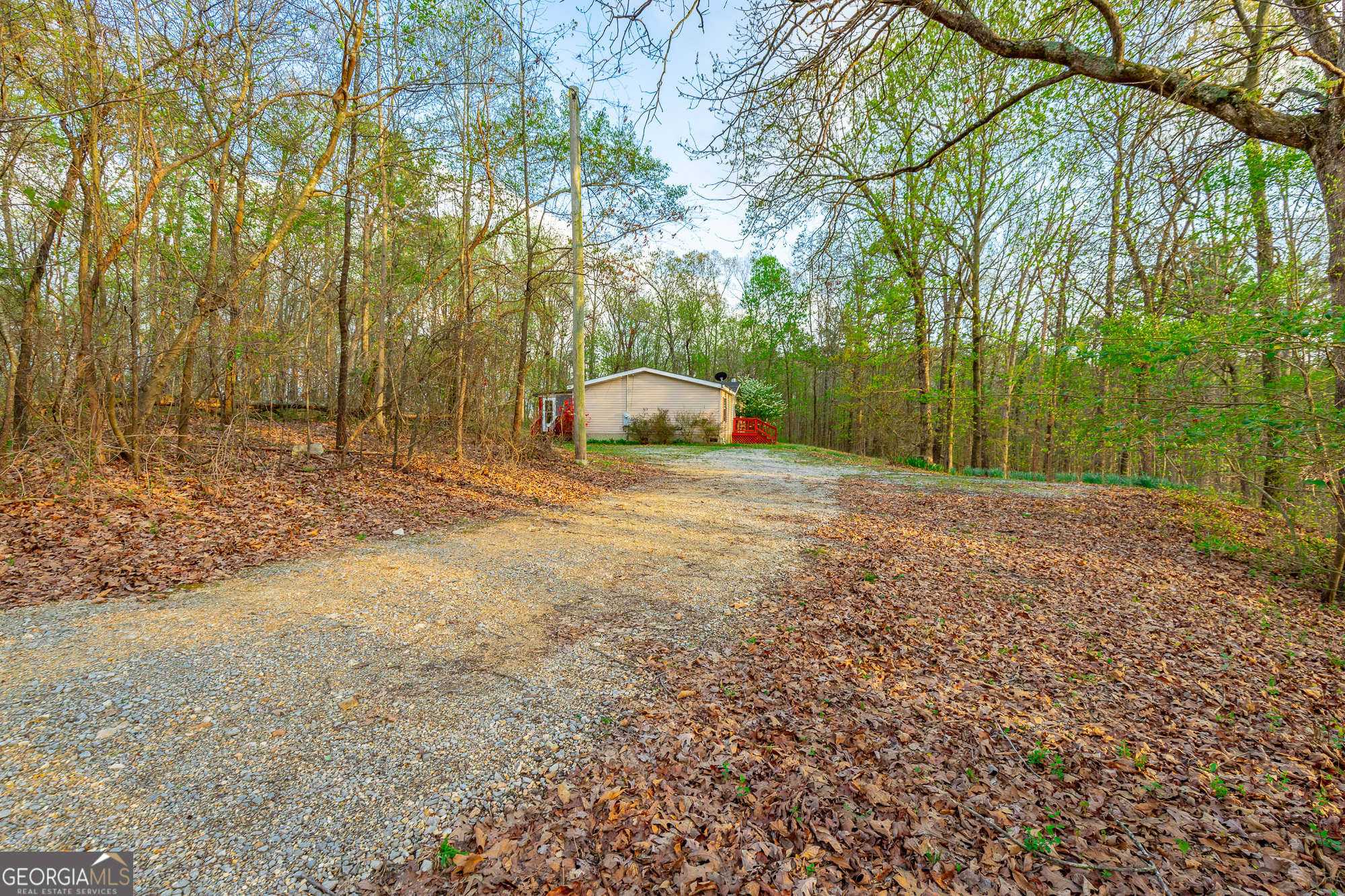 132 Short Hollow Road Trion, GA 30753 - Photo 38 of 46 a view of a yard with large trees