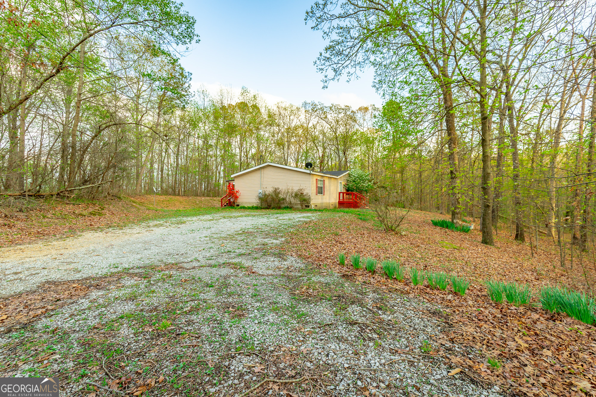 132 Short Hollow Road Trion, GA 30753 - Photo 39 of 46 a view of a backyard with large trees