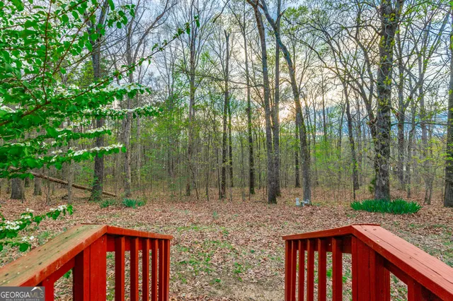 a backyard of a house with lots of green space and fountain