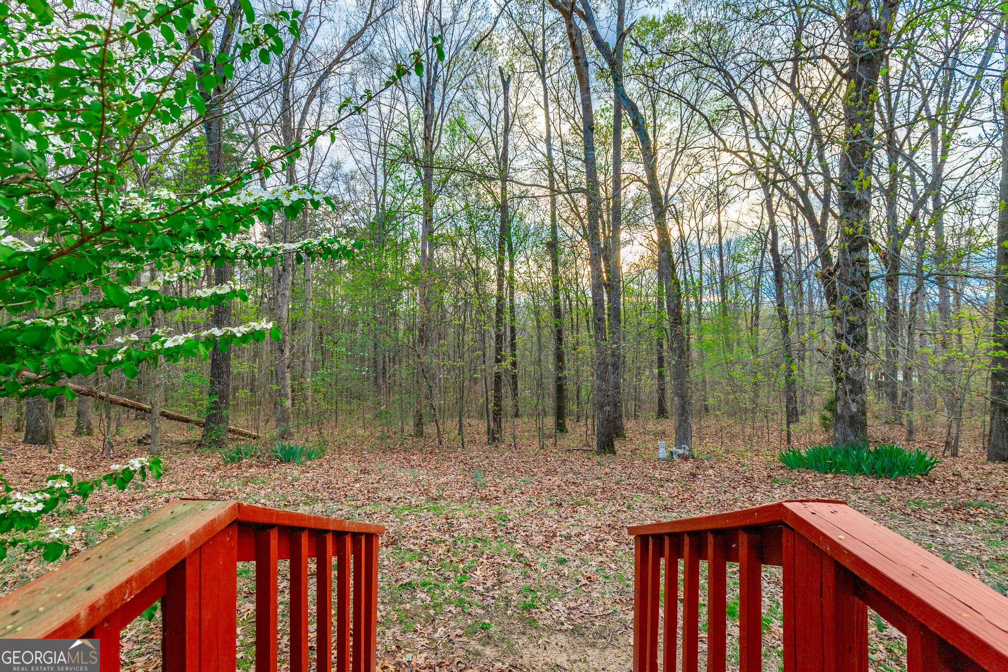 132 Short Hollow Road Trion, GA 30753 - Photo 6 of 46 a backyard of a house with lots of green space and fountain