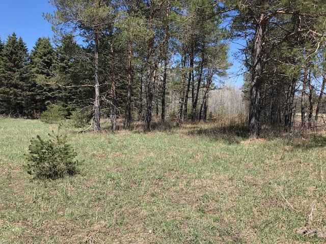 Bailey Road Bellaire, MI 49615 - Photo 8 of 15 1860552-7.JPG
