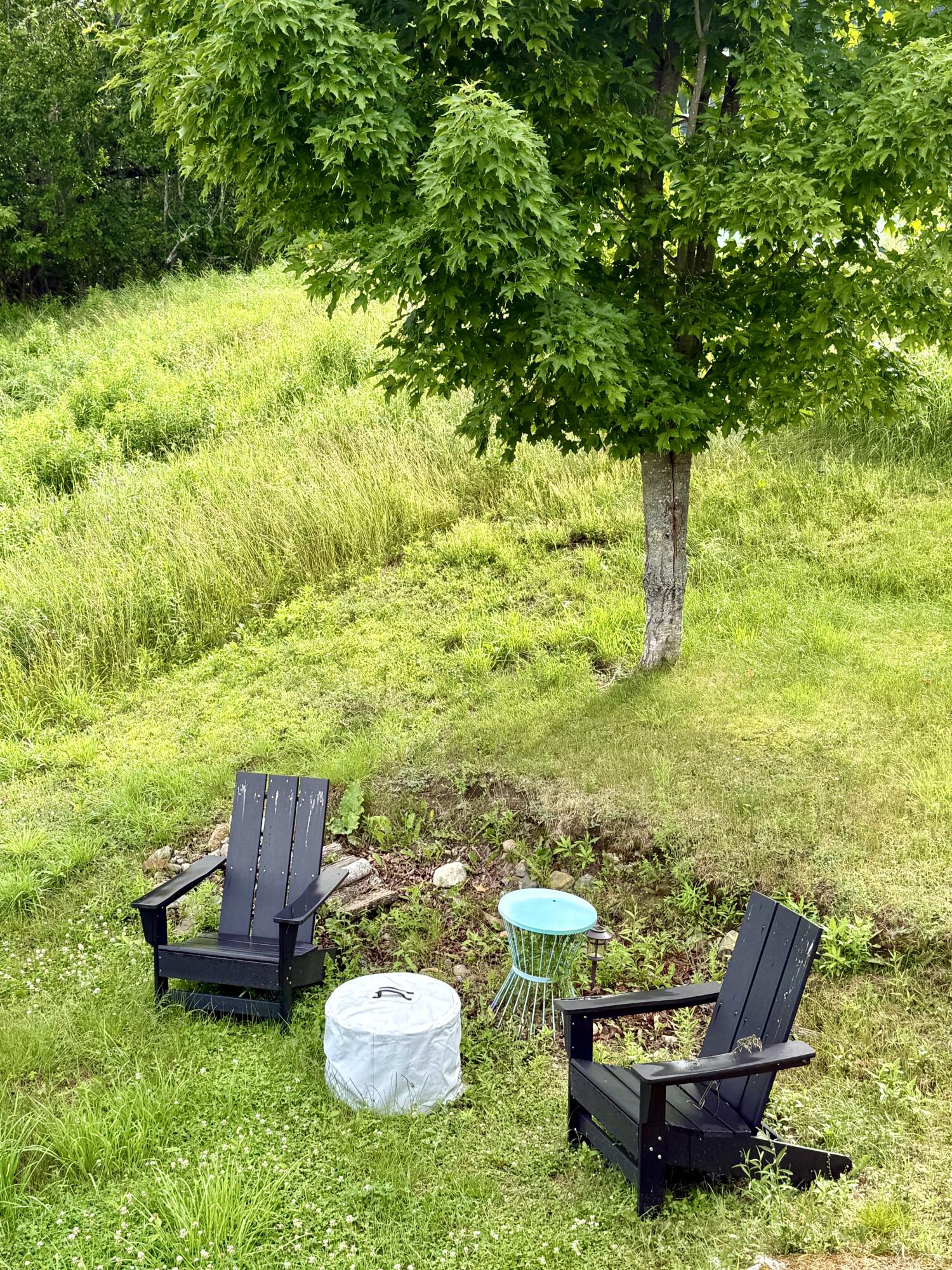 423 Ridge Road Addison, ME 04606 - Photo 48 of 54 IMG_5882