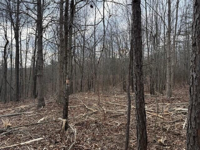 11 South Pittsburg Mountain Road South Pittsburg, TN 37380 - Photo 11 of 18 a view of covered with snow