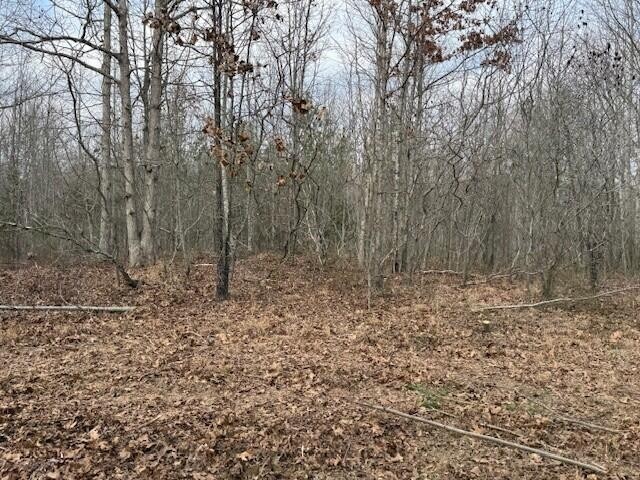 11 South Pittsburg Mountain Road South Pittsburg, TN 37380 - Photo 12 of 18 a view of a yard with trees