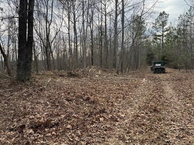 11 South Pittsburg Mountain Road South Pittsburg, TN 37380 - Photo 14 of 18 a backyard of a house with lots of green space