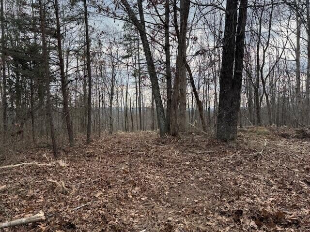11 South Pittsburg Mountain Road South Pittsburg, TN 37380 - Photo 15 of 18 a backyard of a house with lots of green space