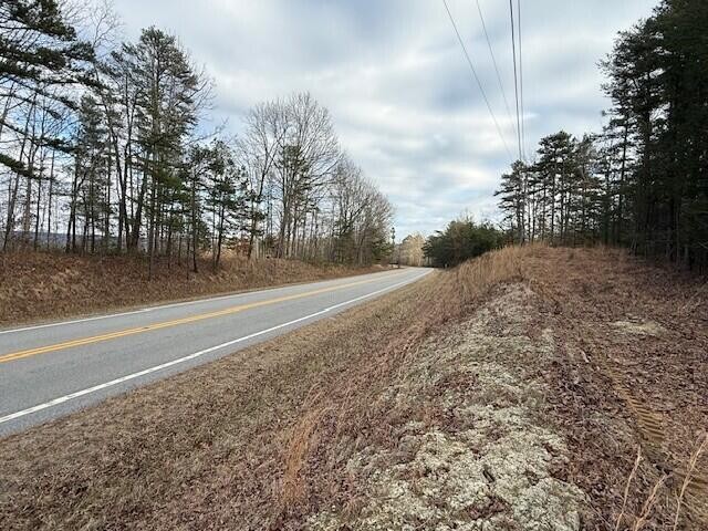 11 South Pittsburg Mountain Road South Pittsburg, TN 37380 - Photo 17 of 18 a view of a yard with large trees