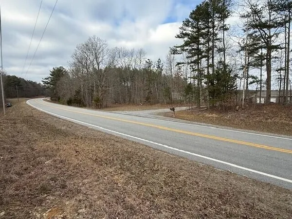 a view of a yard with large trees
