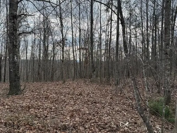 a view of wooden fence