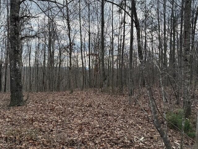 11 South Pittsburg Mountain Road South Pittsburg, TN 37380 - Photo 3 of 18 a view of wooden fence