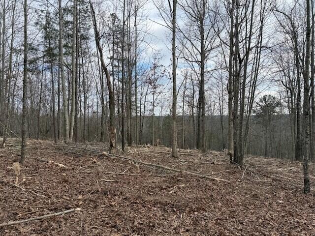 11 South Pittsburg Mountain Road South Pittsburg, TN 37380 - Photo 4 of 18 a view of outdoor space with deck and tree