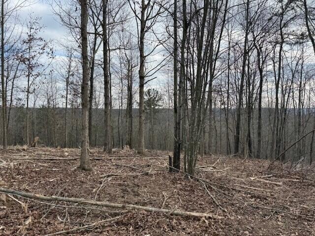 11 South Pittsburg Mountain Road South Pittsburg, TN 37380 - Photo 5 of 18 a view of outdoor space with green space