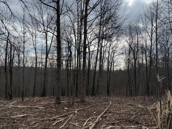 a view of wooden fence