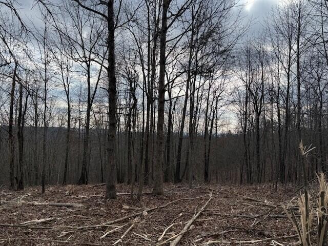 11 South Pittsburg Mountain Road South Pittsburg, TN 37380 - Photo 6 of 18 a view of wooden fence