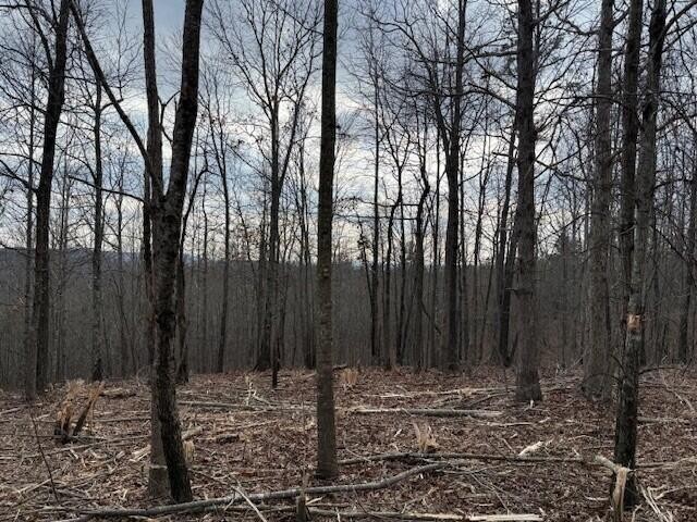 11 South Pittsburg Mountain Road South Pittsburg, TN 37380 - Photo 8 of 18 a view of a backyard