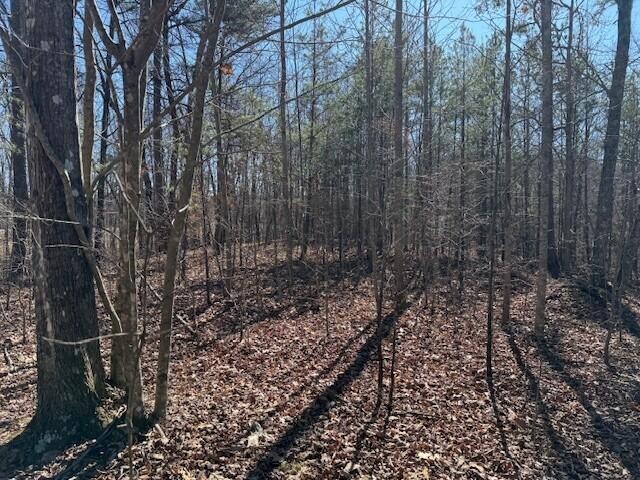 11 South Pittsburg Mountain Road South Pittsburg, TN 37380 - Photo 9 of 18 a view of a yard