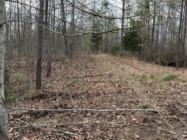 11 South Pittsburg Mountain Road South Pittsburg, TN 37380 - Photo 10 of 18 a view of a yard with wooden fence