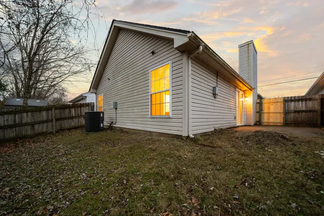 a view of backyard and tree