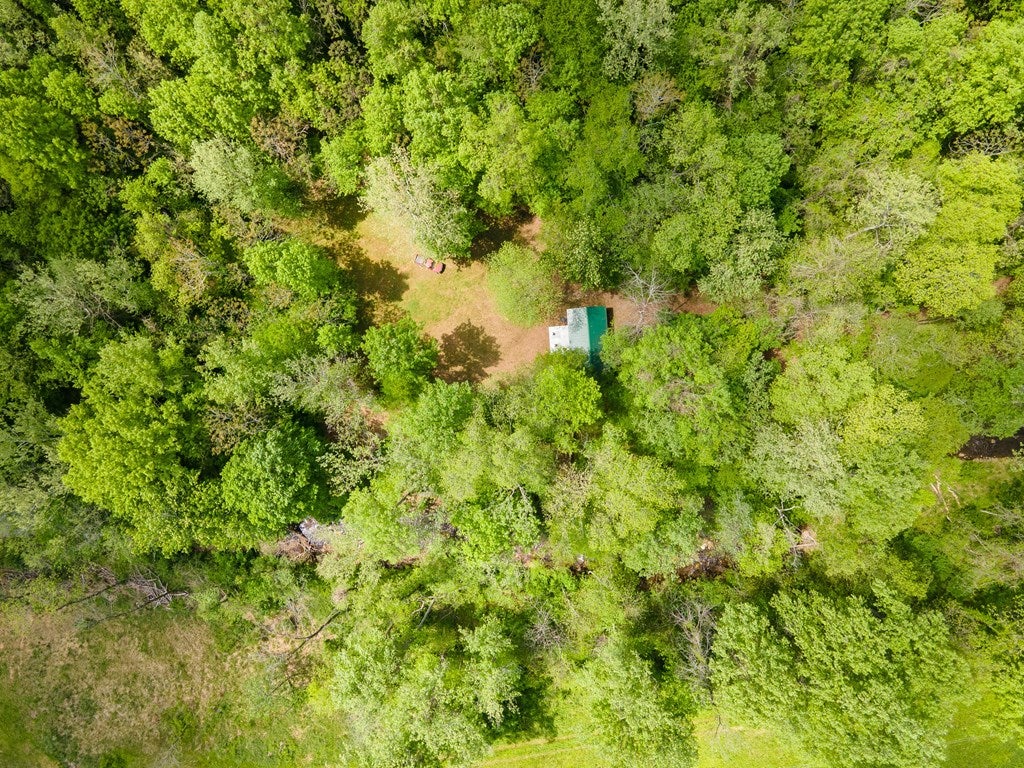 56-acres Runnett Bag Road Ferrum, VA 24088 - Photo 43 of 44 Gallery Image 43