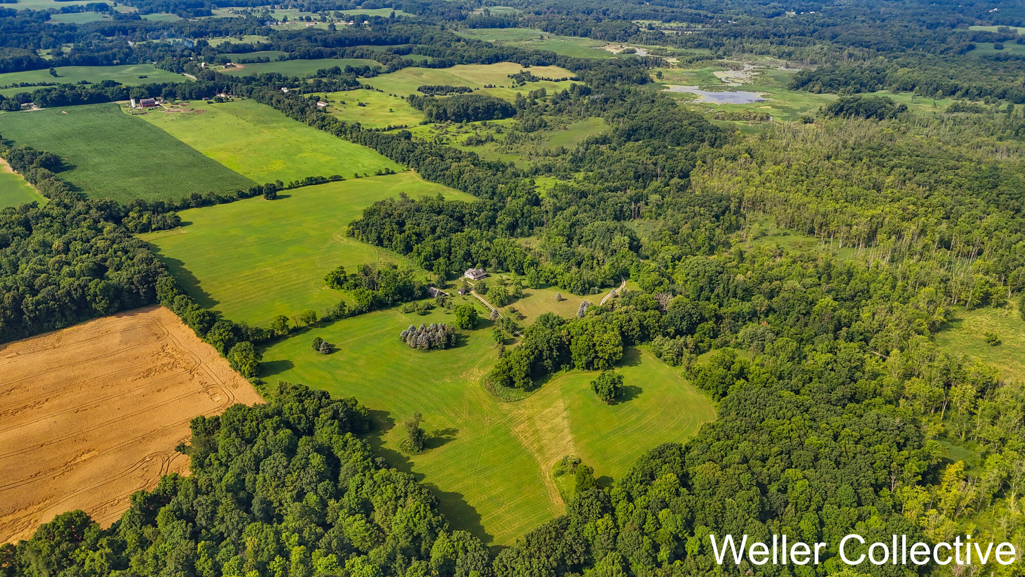 13399 Wing Road Bellevue, MI 49021 - Photo 72 of 77 DJI_20260709101307_0380_D
