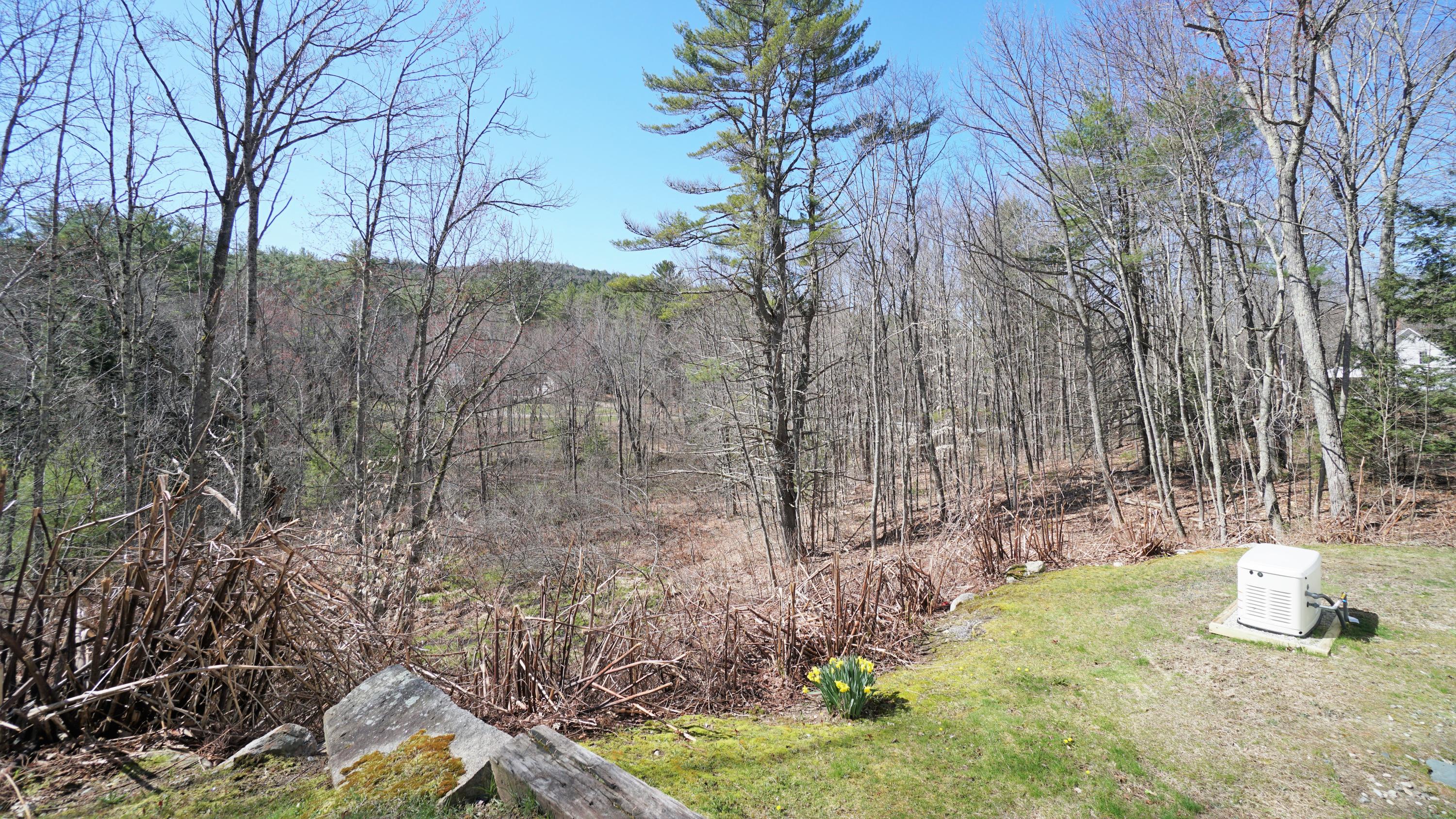 193 Douglas Hill Road Baldwin, ME 04091 - Photo 17 of 84 DSC03104