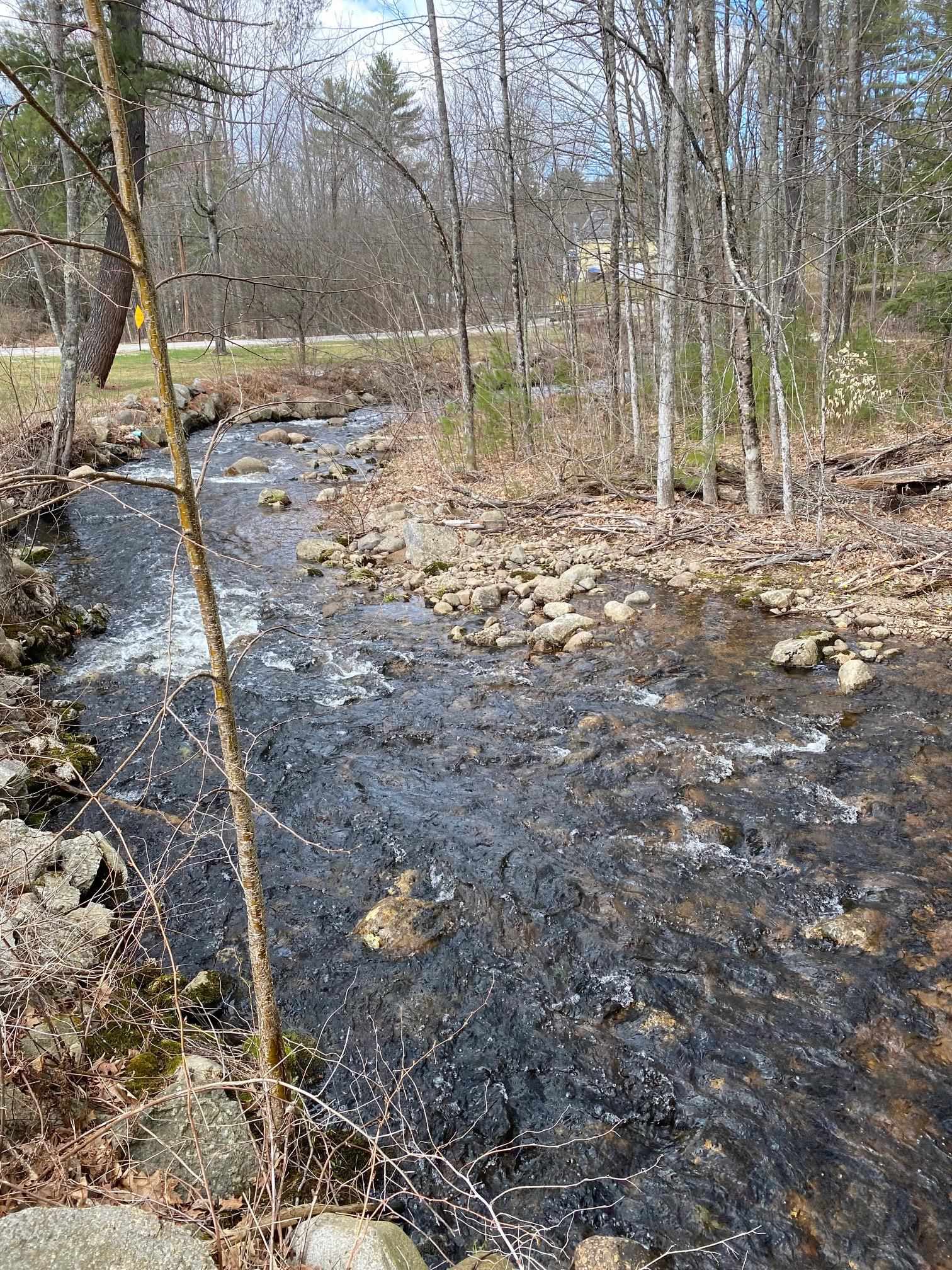 95 East Madison Road Madison, NH 03849 - Photo 8 of 40