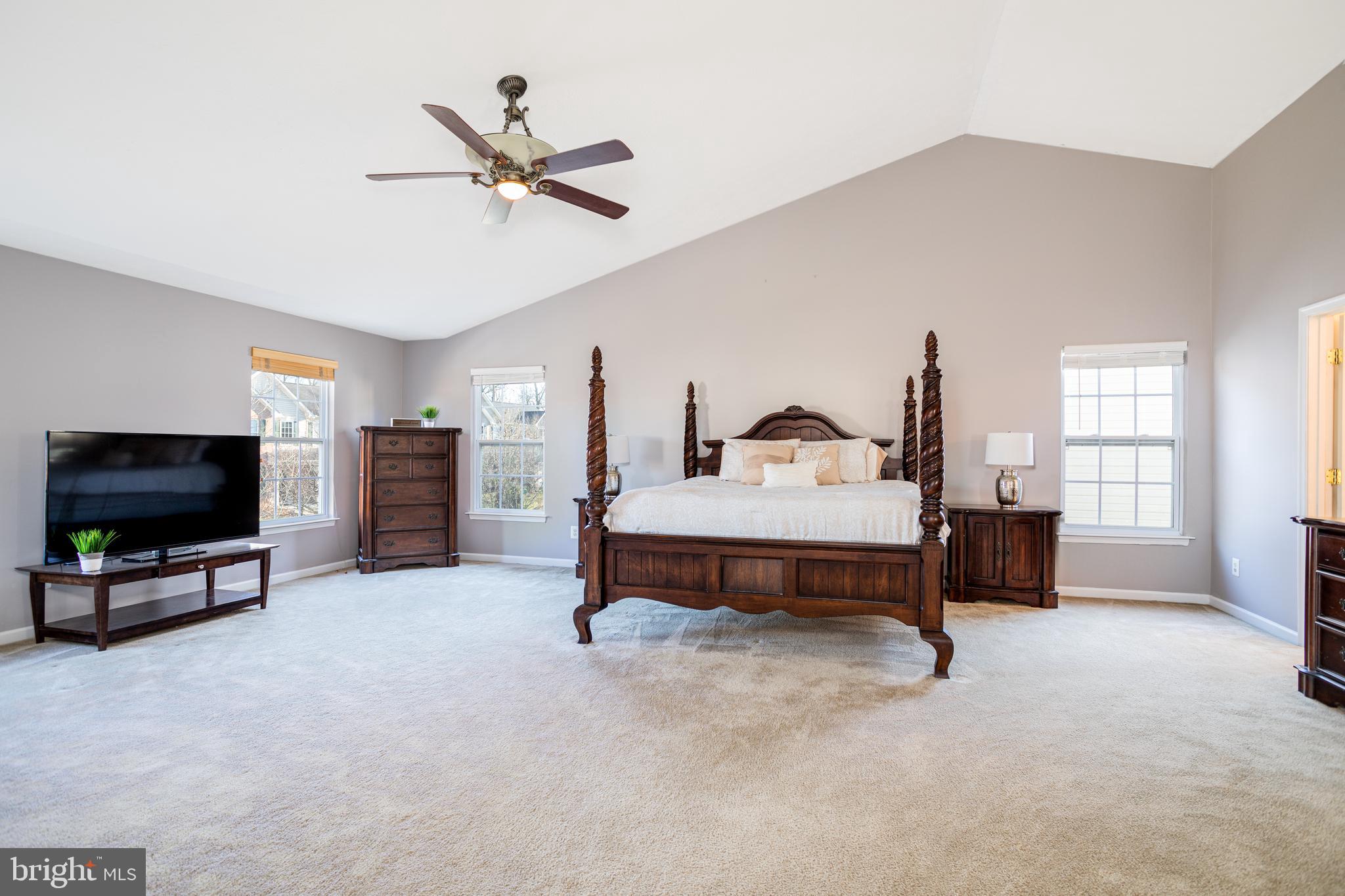 136 Patton Way Elkton, MD 21921 - Photo 14 of 29 Owner's suite with Cathedral Ceilings