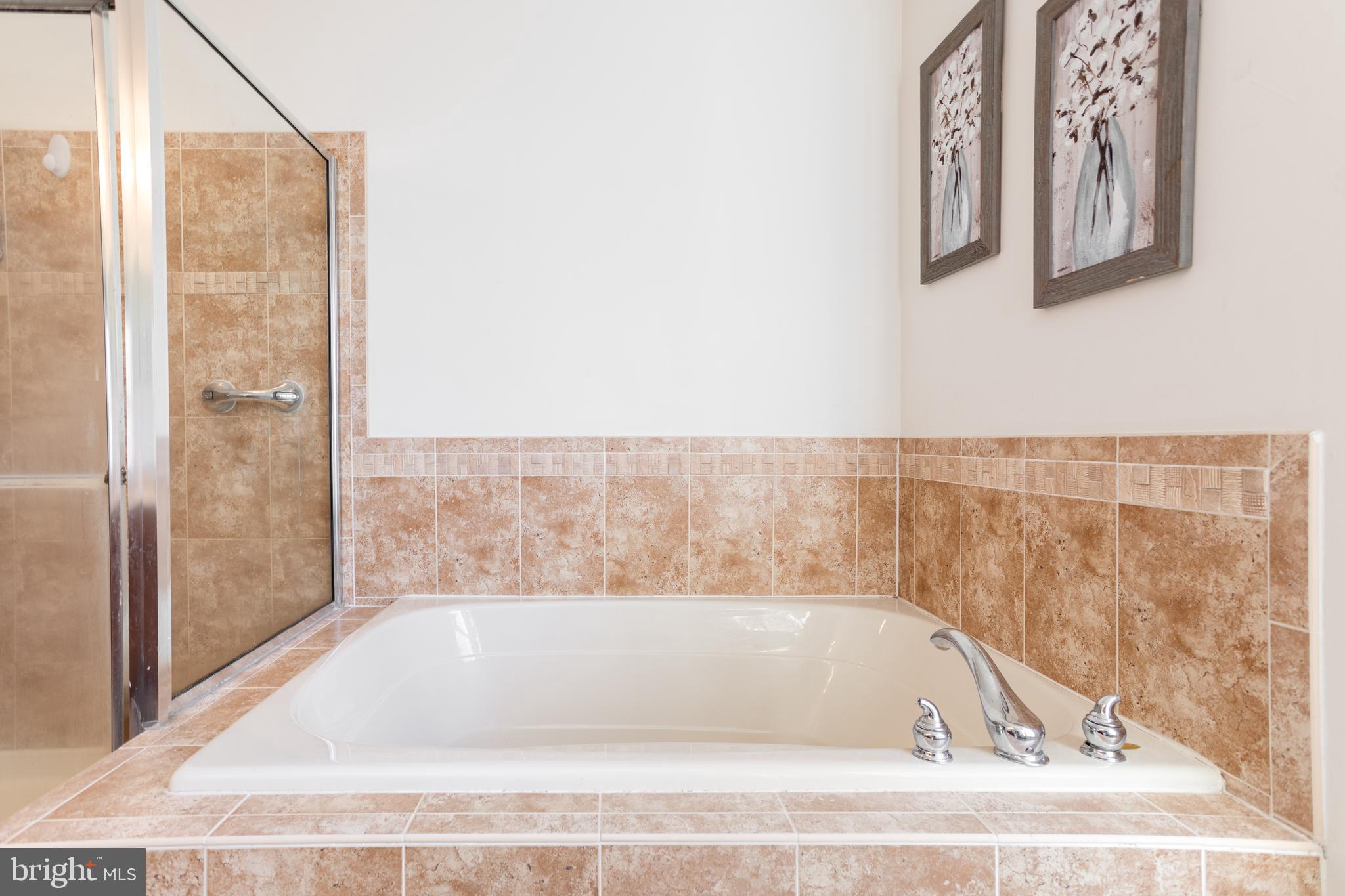 136 Patton Way Elkton, MD 21921 - Photo 16 of 29 Soaking tub in master bath