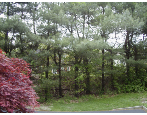 43 Ridge Road Northborough, MA 01532 - Photo 8 of 9 Gallery Image 8