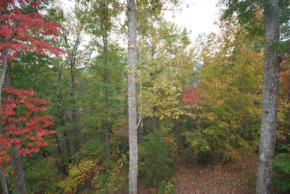 645 Ivy Road Gatlinburg, TN 37738 - Photo 33 of 36 P
