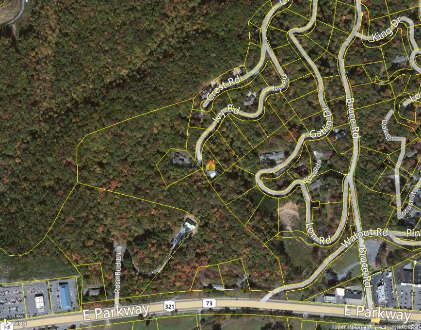 645 Ivy Road Gatlinburg, TN 37738 - Photo 35 of 36 ZJ