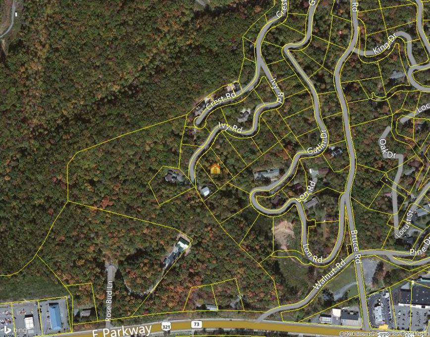 645 Ivy Road Gatlinburg, TN 37738 - Photo 36 of 36 ZJ(2)
