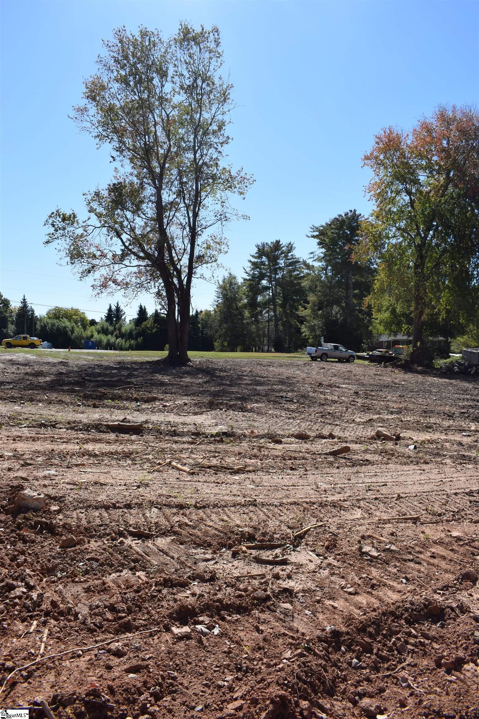 102 Horton Road, Unit LOT A Campobello, SC 29356 - Photo 7 of 21