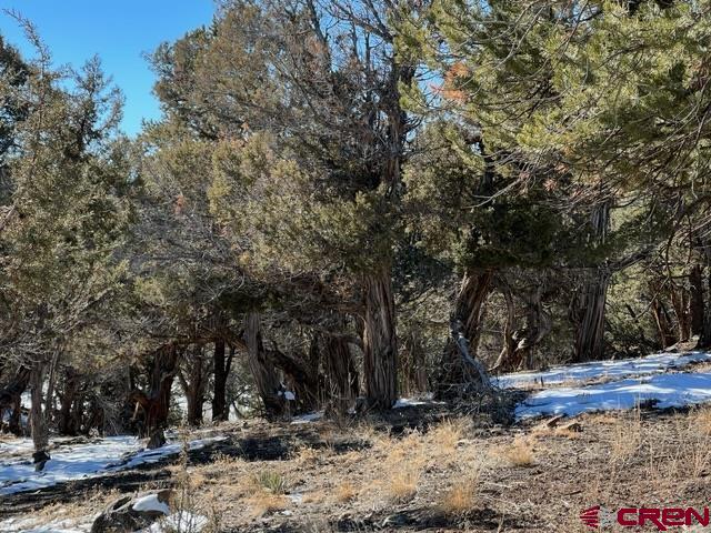 Tbd Ridge Road Montrose, CO 81403 - Photo 3 of 6 Gallery Image 3