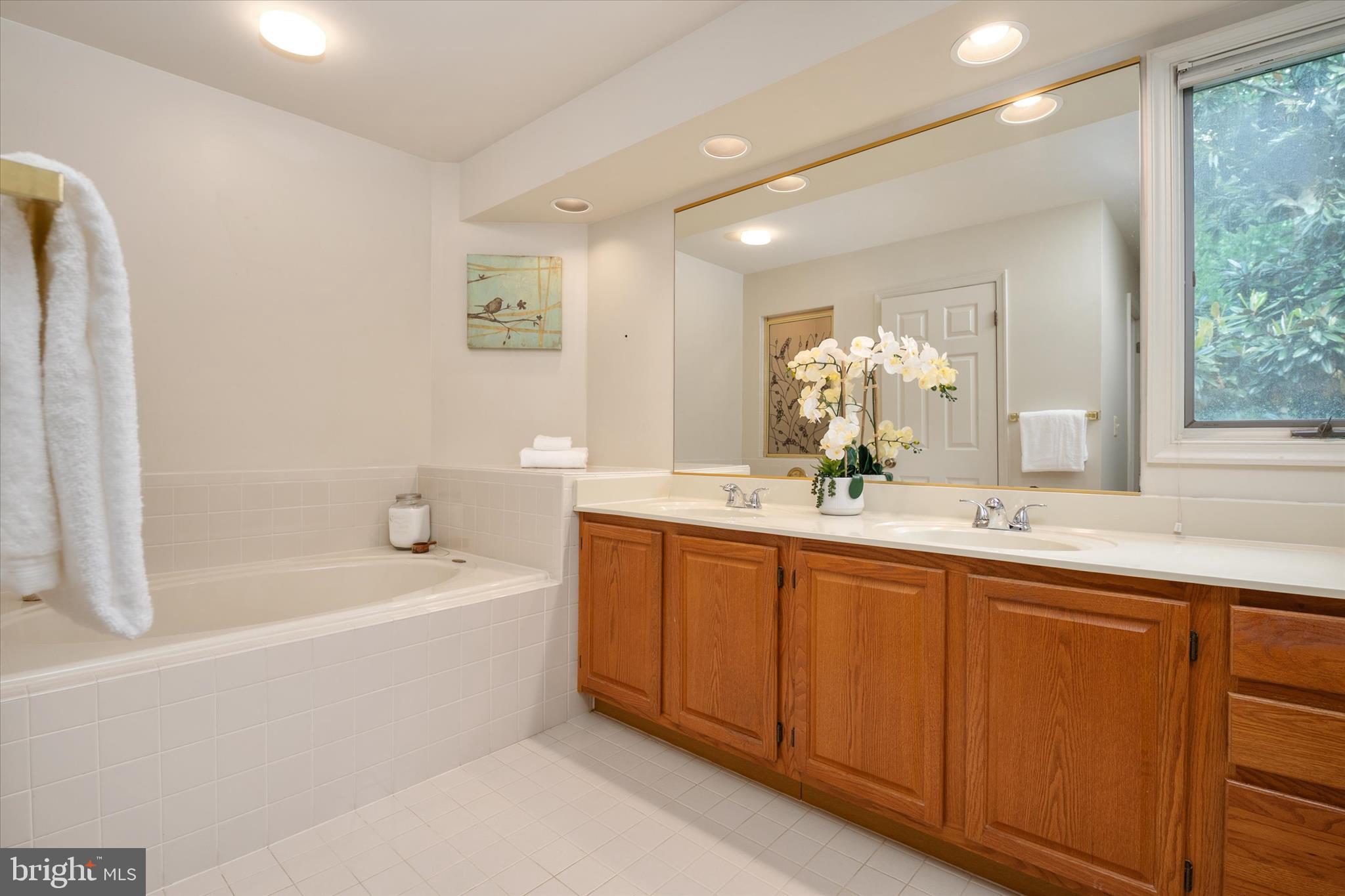 147 Spring Pl Way Annapolis, MD 21401 - Photo 17 of 45 Primary En-Suite with dual vanity