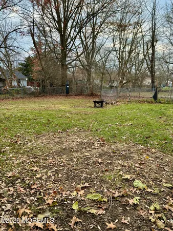 a view of backyard with green space