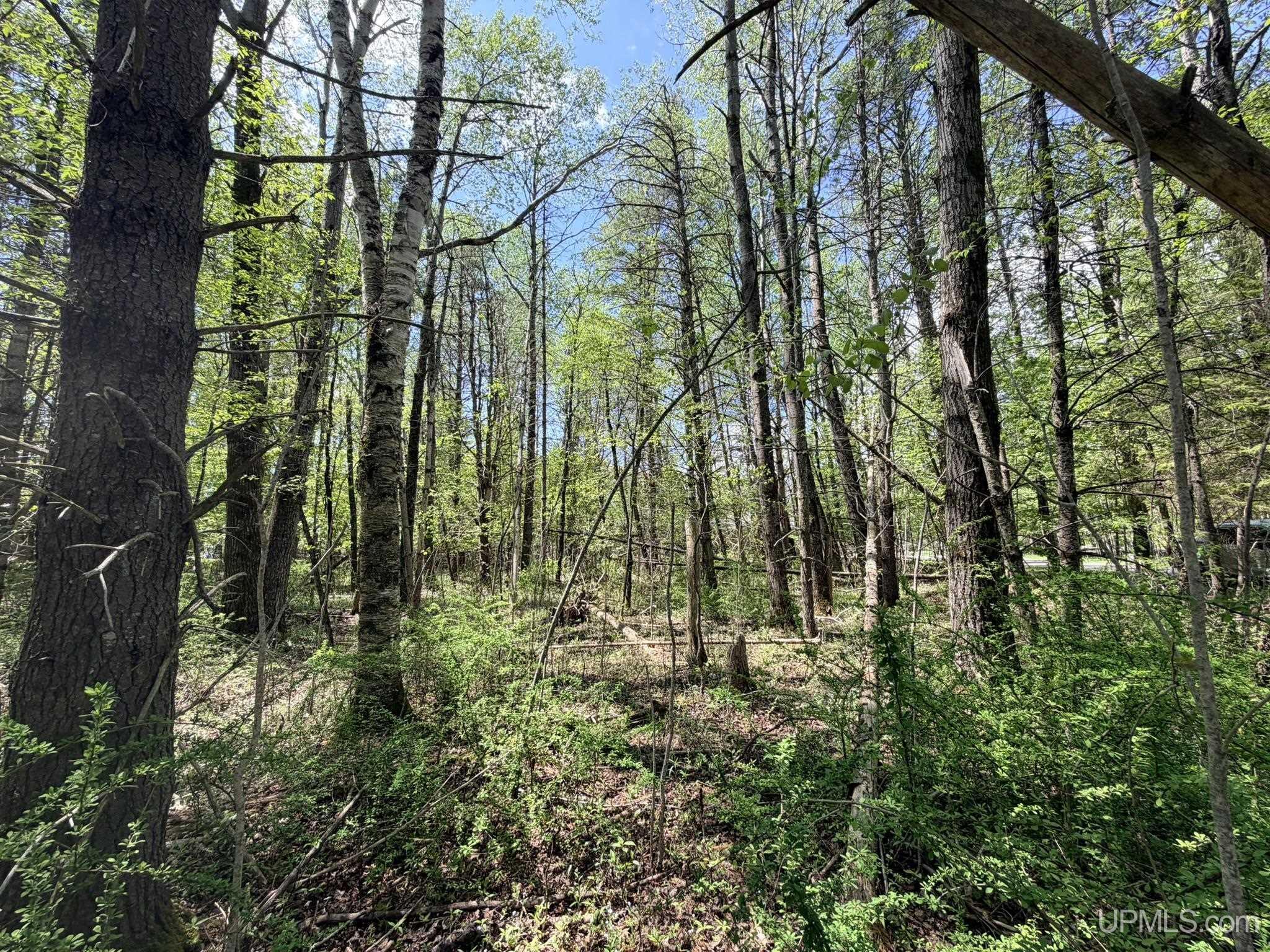 Tbd Pine Ridge Road Manistique, MI 49854 - Photo 20 of 20